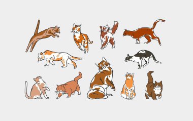 El çizimi vektör soyut çizimi sanat koleksiyonu ve sevimli komik çizgi film kedisi karakteri. Modaya uygun, çizgi film karakteri, güzel kedilerin temsili çizimi. Çizgi Sanat Kedisi simgesi tasarımı