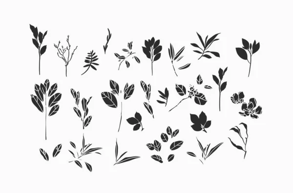 手描きベクトル抽象グラフィックイラストシルエットコレクションセット付きボヘミアン魔法の黒アートの自然花や植物 ハーブ 植物の花の庭の植物のシルエット — ストックベクタ