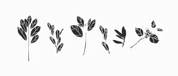 손으로 추상적 그래픽 실루엣 컬렉션은 자연적 나뭇잎 식물학적 식물인 실루엣 — 스톡 벡터
