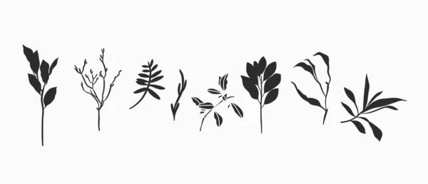 손으로 추상적 그래픽 실루엣 컬렉션은 자연적 나뭇잎 식물학적 식물인 실루엣 — 스톡 벡터