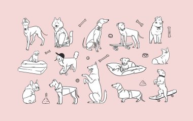 El çizimi vektör soyut grafik çizgi roman koleksiyonu çeşitli komik çizgi film karakterleri içerir. Komik çizgi filmin vektör illüstrasyonu köpekleri modaya uygun düz tarzda yetiştirir. Satır köpeği simgesi