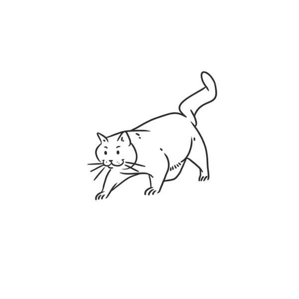 手绘矢量抽象图形线条艺术集 配以可爱可爱可爱的滑稽卡通猫的特征 画线艺术猫图标 — 图库矢量图片