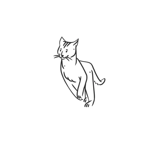 손으로 추상적 그래픽 컬렉션에는 귀엽고 귀여운 귀여운 고양이가 Drawing Line — 스톡 벡터