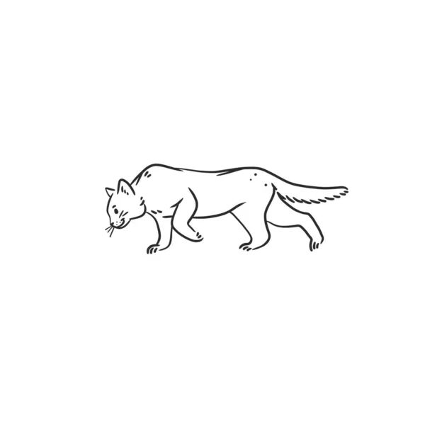 手绘矢量抽象图形线条艺术集 配以可爱可爱可爱的滑稽卡通猫的特征 画线艺术猫图标 — 图库矢量图片