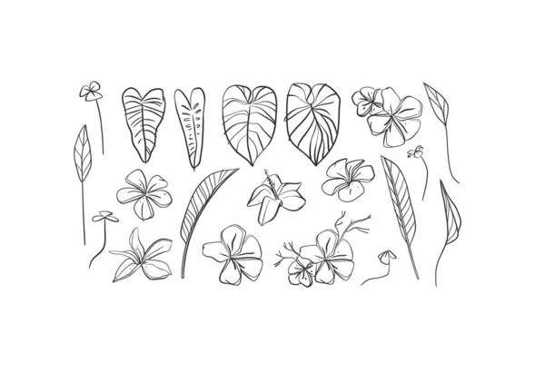 Çizimi Vektör Soyut Basit Minimalist Çizgi Çizimi Tropikal Palmiye Yaprakları — Stok Vektör