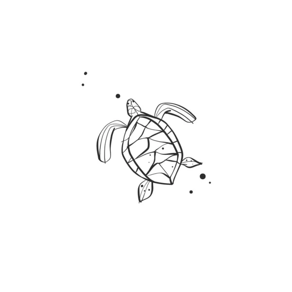 手绘矢量抽象简约简约线条画图热带水下龟图标标志隔离夏季海龟现代设计理念夏季海龟自然线条标志 — 图库矢量图片