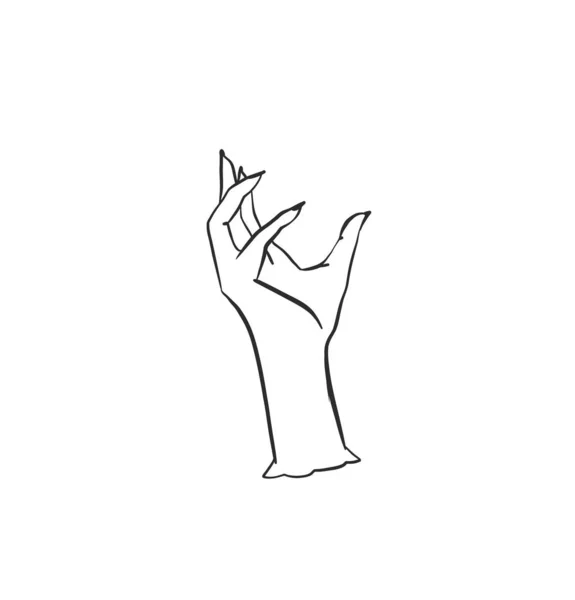 Handgetekende Vector Abstracte Omtrek Grafisch Lijn Elegante Retro Menselijke Hand — Stockvector