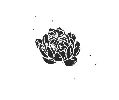 El çizimi vektör soyut düz grafik çizimi çizgi çiçek sanatının logo elementi, siyah şakayık silueti, beyaz arka planda izole edilmiş. Sihirli boho kadınsı kavram.