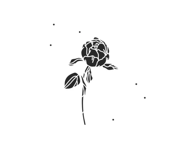 手绘矢量抽象股票平面图形插图与线条花卉艺术的标志元素 牡丹黑色轮廓 孤立在白色背景 神圣的魔法Boho女性概念 — 图库矢量图片