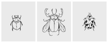 El çizimi soyut vektör grafik illüstrasyon seti şirin, stilize böcek böcekleri çizimi. Modern, vahşi doğa tasarımı tasarımı tasarımı çizimi. Vektör çizgisi hataları sembolü. hayvan simgeleri