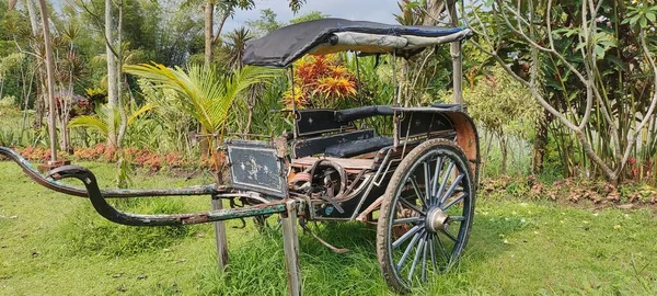 Uma Velha Carruagem Puxada Cavalo Táxi Velho Agricultor Abandonado Uma — Fotografia de Stock