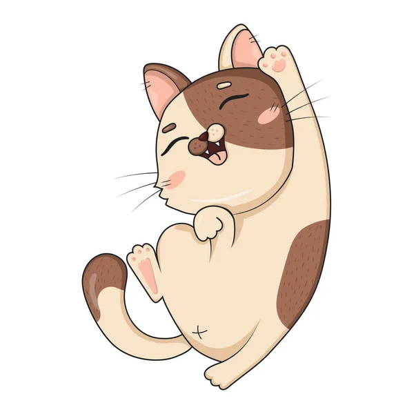 Desenat Drăguț Pisica Amuzant Află Spate Trage Sus Izolat Fundal — Vector de stoc
