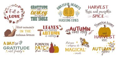 Sonbahar sezonu için vektör harfli sloganlar. Hoş ve samimi tasarım elementleri olan sonbahar cümleleri. Beyaz üzerine izole edilmiş yeşil ve kırmızı ve sarı tonlarında sonbahar harf koleksiyonu