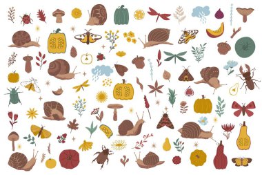 Huge set of autumn natural elements in flat realistic minimalistic style. Hello autumn collection of cozy isolated objects. Vector illustration clipart