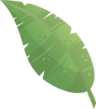 Sivri uçlu ve açık yeşil damarlı canlı tropikal muz yaprağı, şeffaf arkaplanı olan tasarımlara biraz tropik bölge dokunuşu eklemek için idealdir.