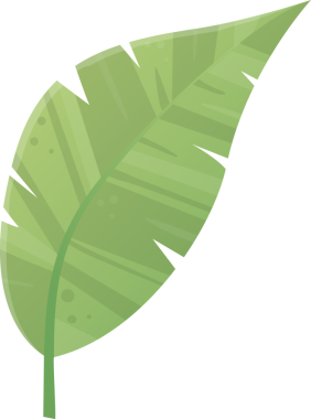 Yeşil sörf tahtası şeffaf arka planda izole edilmiş, sörf, yaz sporları ve plaj aktiviteleri ile ilgili projeler için ideal, özgürlük ve macera hissi uyandıran