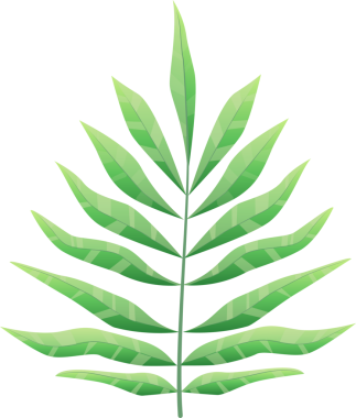 Şeffaf arkaplan içeren canlı yeşil tropikal yaprak, çeşitli tasarım uygulamaları için verimli ve doğal bir element oluşturarak karmaşık ven ayrıntılarını gösterir.