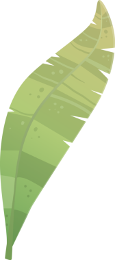 Yeşil sörf tahtası şeffaf arka planda izole edilmiş, sörf, yaz sporları ve plaj aktiviteleri ile ilgili projeler için ideal, özgürlük ve macera hissi uyandıran