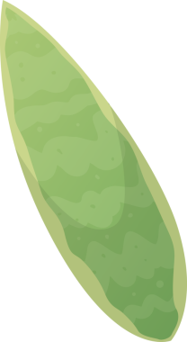 Yeşil sörf tahtası şeffaf arka planda izole edilmiş, sörf, yaz sporları ve plaj aktiviteleri ile ilgili projeler için ideal, özgürlük ve macera hissi uyandıran