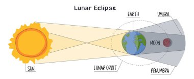 Beyaz arkaplanda ay tutulması bilgisi düz bir şekilde. Ay yörüngesi, umber ve penumbra. Dünya, Ay ve Güneş 'in arasından geçer. Astronomik olay fenomeni dolunay. Kanlı ay