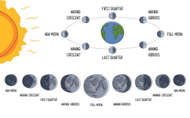 Ay Yörüngesi ve Tutulma Aşamaları Beyaz zemin üzerinde düz stil. Ay Gölgesi Yolu Diyagramı. Kuzey yarımkürede Ay 'ın tüm evreleri Dünya' dan görülebilir.