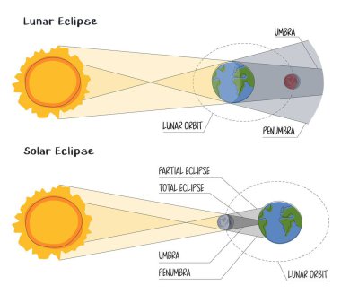 Beyaz arkaplanda düz bir biçimde güneş ve ay tutulması bilgisi. Ay yörüngesi, umber ve penumbra. Ay, Dünya ve Güneş 'in arasından geçer. Astronomik olaylar fenomeni, dolunay.