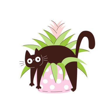 Bir saksının içindeki komik siyah kedi bir çiçeğin üzerinde yatıyor. Evcil hayvanlar ve saksılarda saksılar.