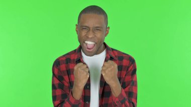 Başarılı Genç Afrikalı Adam Yeşil Arkaplanda Kutlama Yapıyor