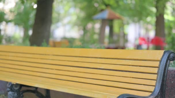 Genç Afrikalı Adam Park Taki Bench Gelip Oturuyor — Stok video