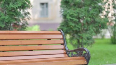 Afrikalı İşadamı Bench 'te laptopta geliyor, oturuyor ve çalışıyor.