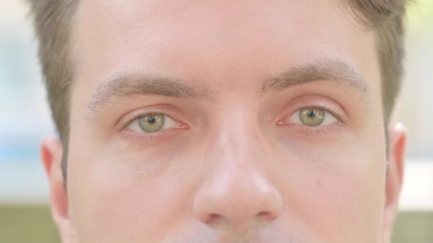 Κοντινό Πλάνο Του Male Blinging Eyes — Αρχείο Βίντεο