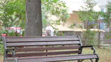 Genç İşadamı geliyor, Bench 'te oturuyor ve laptopta çalışıyor.