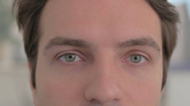 Close up of Male Eyes looking at Camera