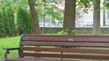 Bilgisayarlı Afrikalı İşadamı Park 'a geliyor ve oturuyor