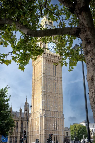 Parlamentet Och Big Ben Utsikten Går Genom Trädet Högkvalitativt Foto — Stockfoto