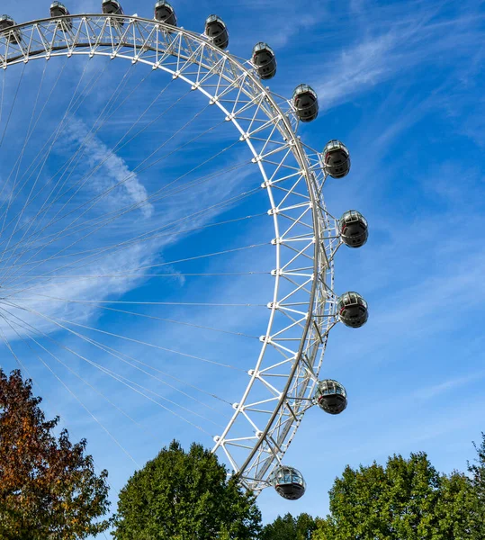 London eye, blue sky, green trees. High quality photo