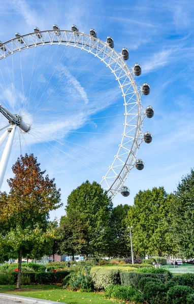 伦敦的眼睛蓝天绿树高质量的照片 — 图库照片