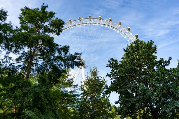 London eye, blue sky, green trees. High-quality photo