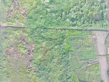 aerial view of land mapping by unmaned aerial vehicle in Bogor, Indonesia.