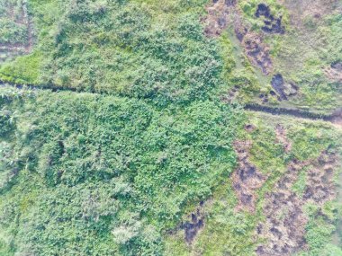 aerial view of land mapping by unmaned aerial vehicle in Bogor, Indonesia.