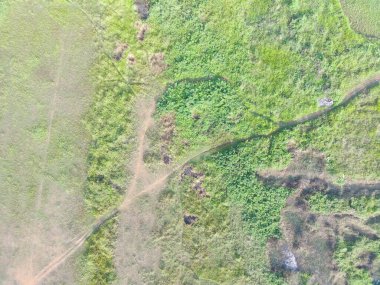 aerial view of land mapping by unmaned aerial vehicle in Bogor, Indonesia.