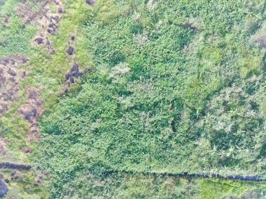 aerial view of land mapping by unmaned aerial vehicle in Bogor, Indonesia.