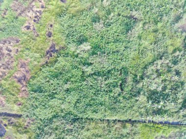 aerial view of land mapping by unmaned aerial vehicle in Bogor, Indonesia.