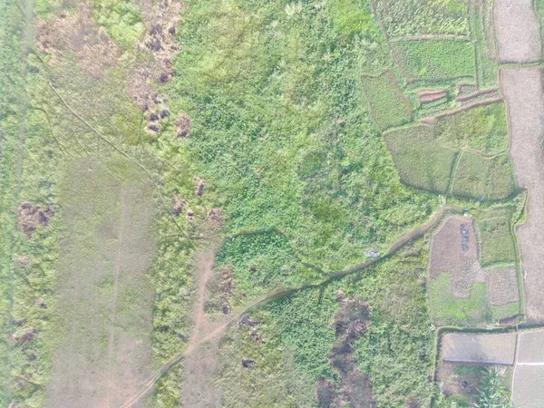 Vue Aérienne Cartographie Terrestre Par Véhicule Aérien Sans Pilote Bogor — Photo