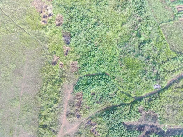 Vista Aérea Cartografía Del Terreno Por Vehículo Aéreo Tripulado Bogor — Foto de Stock