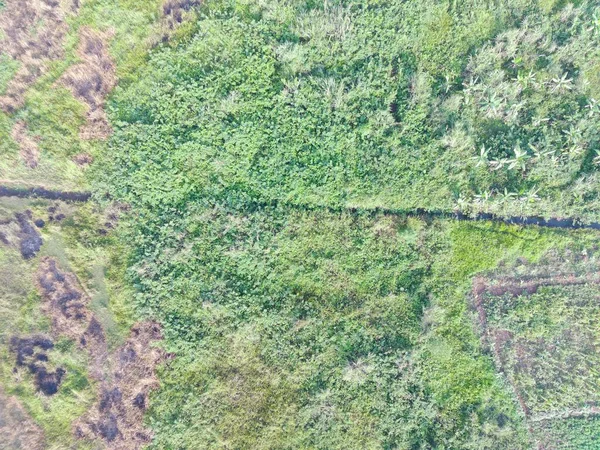 Aerial View Land Mapping Unmaned Aerial Vehicle Bogor Indonesia — Φωτογραφία Αρχείου