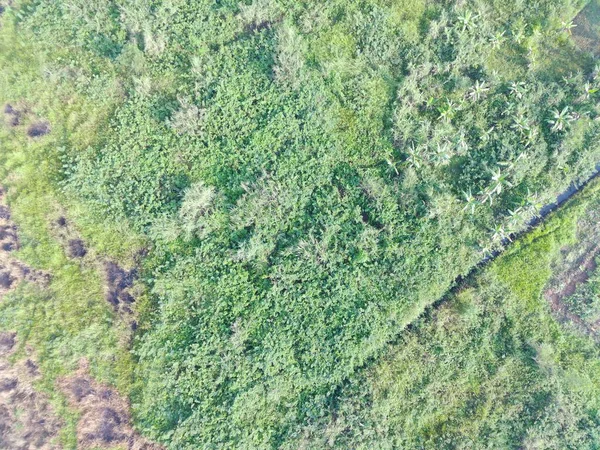 Воздушный Обзор Наземного Картографирования Беспилотным Летательным Аппаратом Богоре Индонезия — стоковое фото