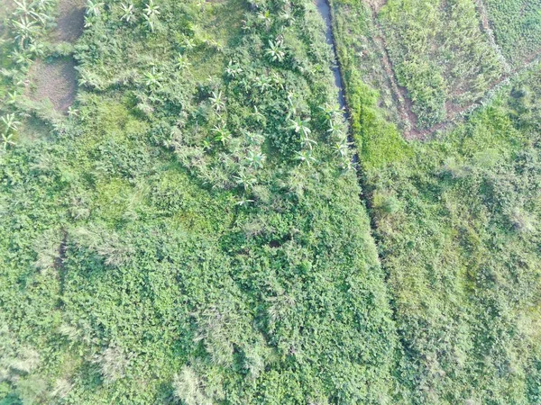 Aerial View Land Mapping Unmaned Aerial Vehicle Bogor Indonesia — Stok Foto