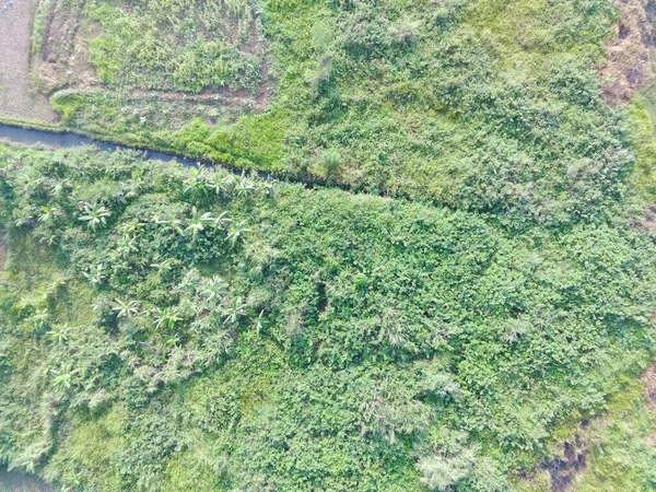 Aerial View Land Mapping Unmaned Aerial Vehicle Bogor Indonesia — Photo