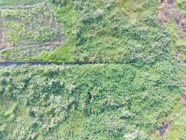Повітряний Вид Карту Допомогою Безпілотного Літального Апарату Богорі Індонезія — стокове фото